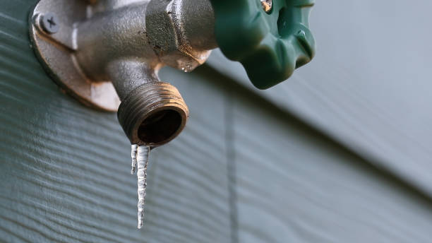 Best Emergency Plumbing Repair  in Geneva, AL