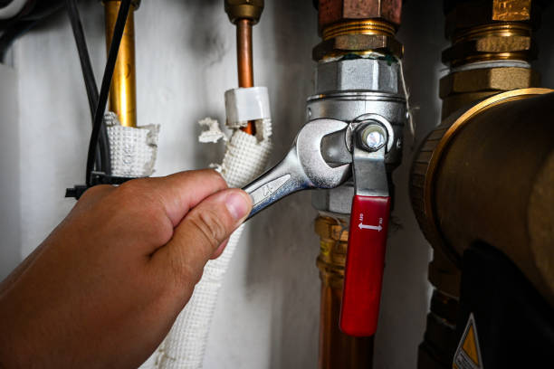 Best Sprinkler Systems  in Geneva, AL